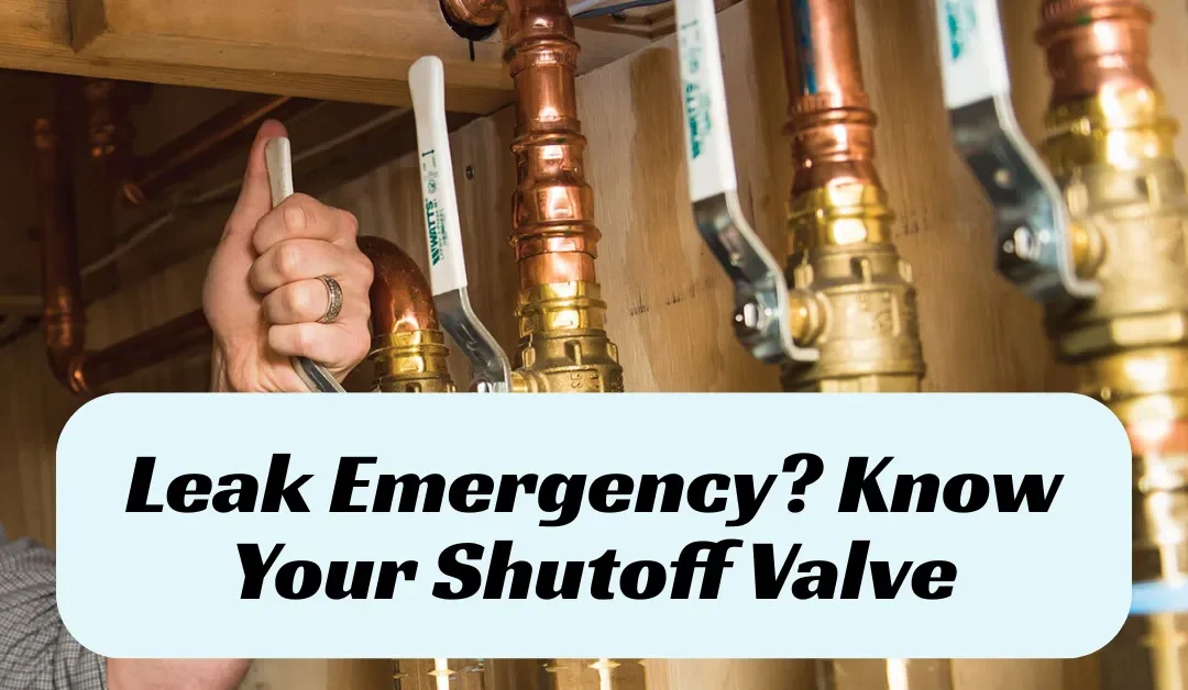 Find the Main Water Shutoff Valve in Sussex Homes